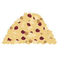 New Quinoa