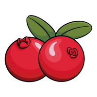 New Cranberries