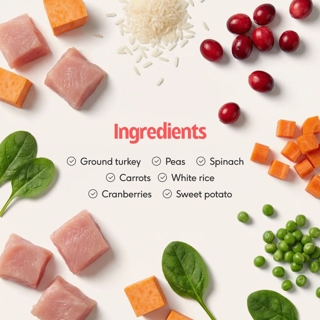 Pre-Portioned, Fully Balanced One-Time