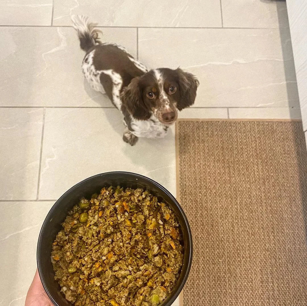 FRESH INGREDIENTS Dogs