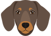 Tell us about your dog