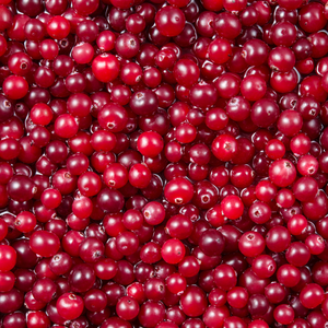 cranberries