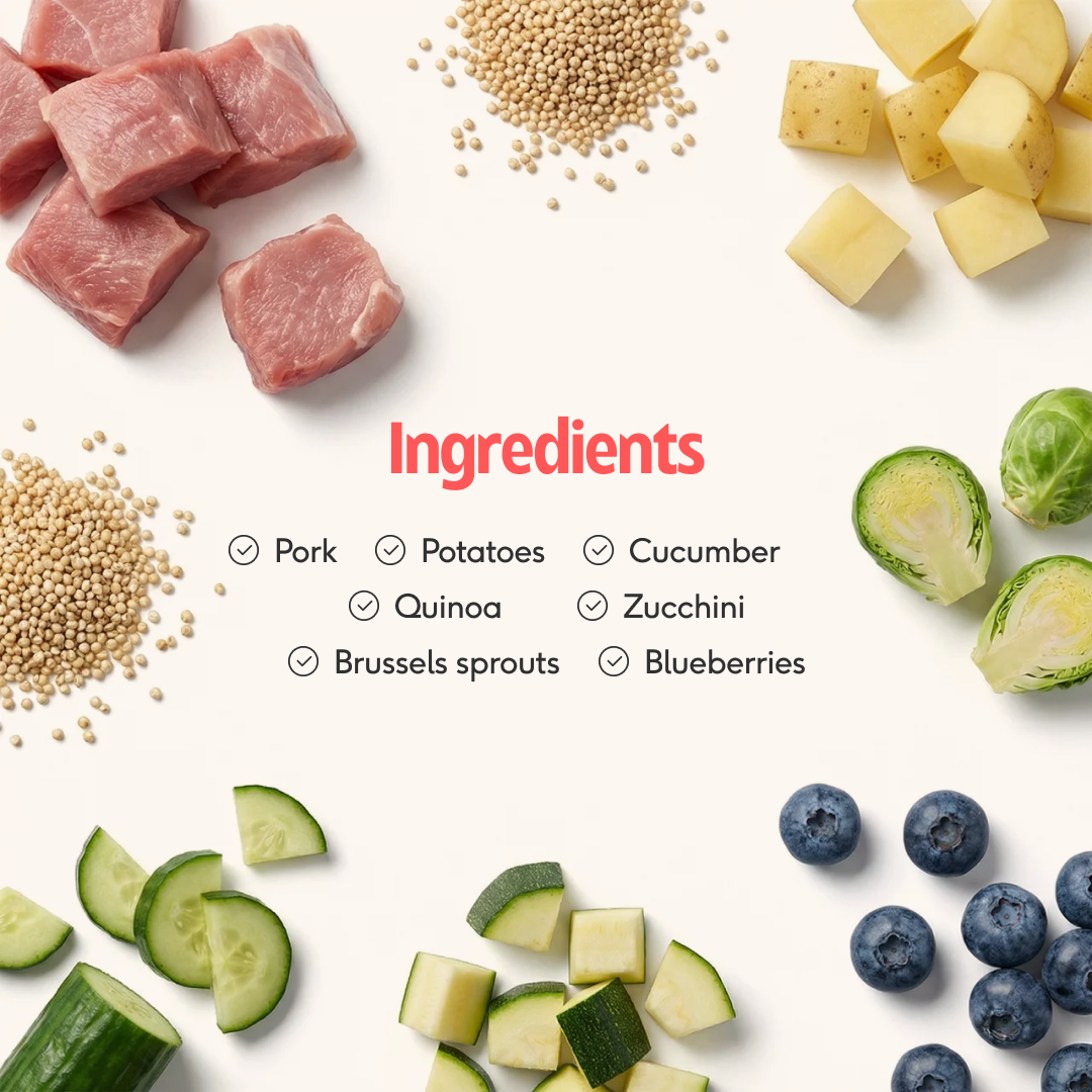 Pre-Portioned Meal Plan