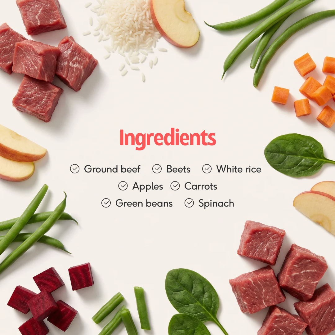 Pre-Portioned Meal Plan