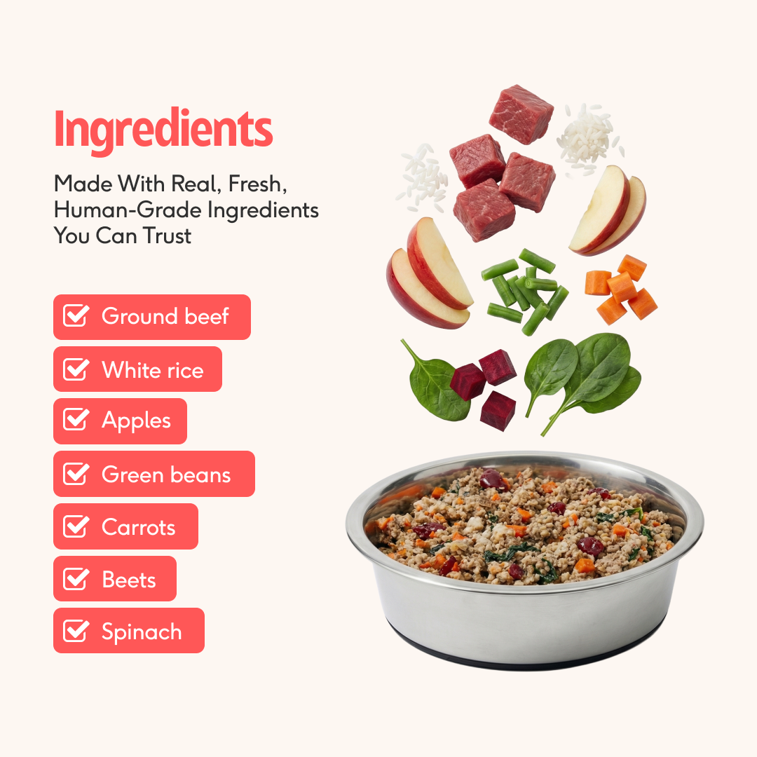 Try All 4 Recipes – $5 Sample Pack + Free Shipping