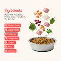 Try All 4 Recipes – $5 Sample Pack + Free Shipping