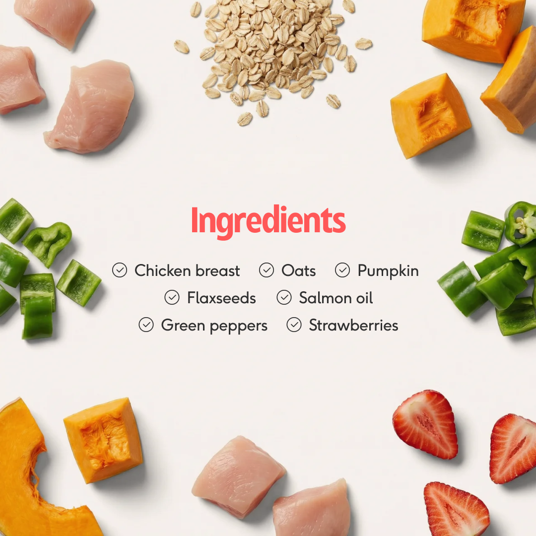 Pre-Portioned Meal Plan