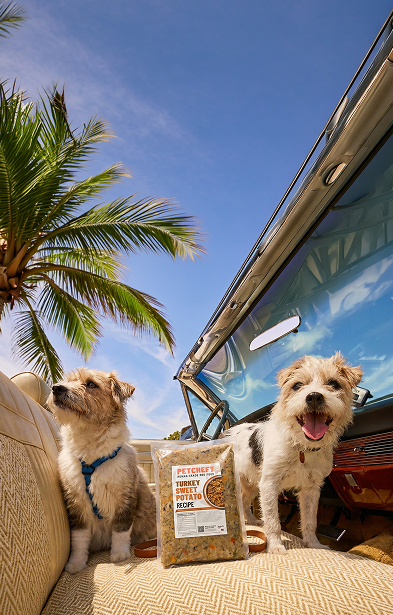 The Freshest Dog Food. Built for Dogs That Live Here.