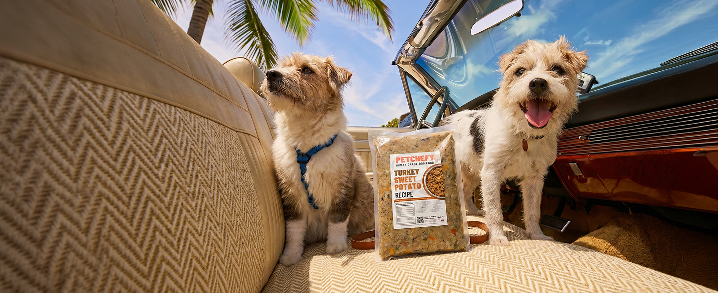 The Freshest Dog Food. Built for Dogs That Live Here.