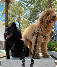 Daniel R., Coconut Grove
