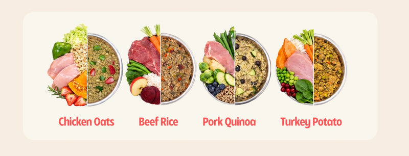 Available Meal Options