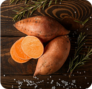 Sweet Potato